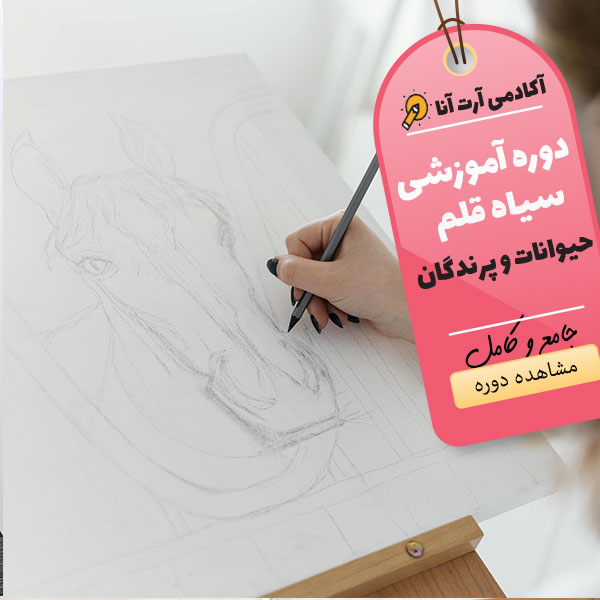 2 آموزش نقاشی و طراحی از حیوانات و پرندگان/قیمت ویژه1402